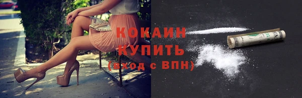 шишки Аркадак
