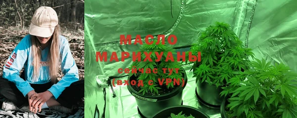 шишки Аркадак