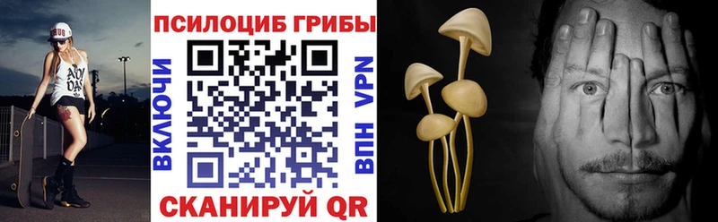 купить наркотики сайты Карасук Псилоцибиновые грибы ЛСД